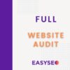 full website audit